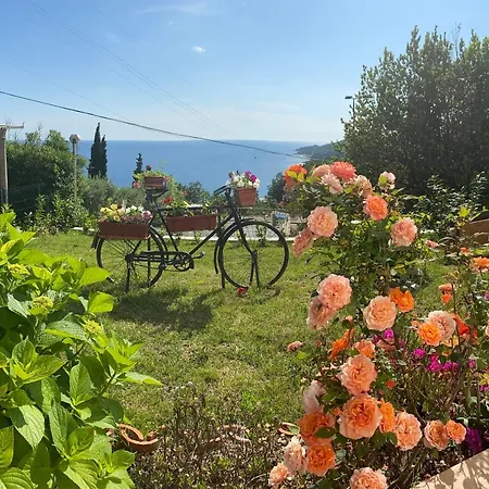 Apartmán Pergola -apartment Roko