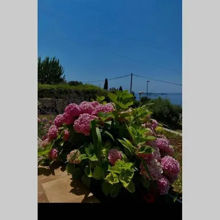 Pergola -apartment Roko *