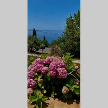 Pergola -apartment Roko *