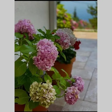 Pergola -apartment Roko *